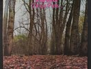 TWINK: think pink Akarma 12
