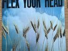 Flex Your Head, Dischord, 12” Vinyl, Minor Threat, Poster, 3000 Made