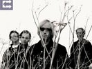 ECHO (2LP)