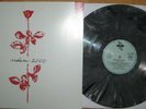 RARE Limited 12