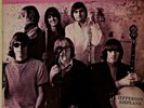 Jefferson Airplane ‎– Surrealistic Pillow (1967 LP RCA Victor ‎– LPM-3766) Vinyl