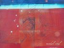 Nujabes modal soul Limited Edition 2 LP Record Analog Japan New with Tracking