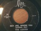 RARE 1st EDITION 45 The Leaves 