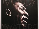 Vinyle - MUDDY WATERS - mannish boy: the best of