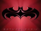 BATMAN & ROBIN (MUSIC FROM AND INSPIRED BY THE MOTION PICTURE) (2 LP) (RSD 2020)