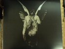 UNDEROATH Erase Me LP RARE clear vinyl w/black splatter 2000 press Fearless