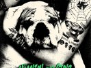 Sheer Terror - Hässlich Und Stolz LP BLOOD FOR BLOOD DEATH THREAT COLD AS LIFE