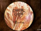 Cannibal Corpse - The Bleeding - Vinyl/LP - Picture - gesuchtes Sammlerstück