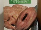 PUNKREAS - UNITED RUMORS OF PUNKREAS (LP)