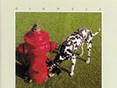 Signals by Rush (LP, 1982 Anthem, Canada, ANR-1-1038, NM)