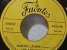 THE AFROSOUND -MAMBO GUAJIRA- SALSA GUAJIRA LISTEN #51
