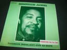 HOMESICK JAMES Blues LP on BLUESWAY 6071 