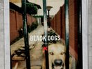 BOYS NIGHT OUT BLACK DOGS 10” Red + Clear Vinyl Record