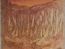 SAVOY BROWN: Blue Matter US Parrot Orig Press Blues Rock NM- Vinyl LP