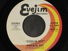 PRIVATE JOY: coolin out / instro EVEJIM 7