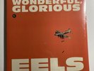 The Eels Wonderful, Glorious Vinyl 10” 2LP OOP Record