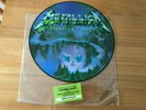 METALLICA...CREEPING DEATH.. RARE EU ISSUE PICTURE DISC 12