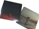 Phoebe Bridgers 2x Vinyl Copycat Killer Galaxy Green Punisher