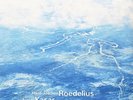 Roedelius-Einfluss (US IMPORT) VINYL NEW