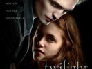 TWILIGHT SAGA ORIGINAL MOTION PICTURE SOUNDTRACK VINYL RECORD ALBUM USED RARE