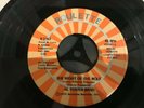 Vinyl Records / The Night of the Wolf  / Al Foster Band / VG R7162