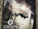 Beartooth - Disgusting Limited White 180G Vinyl LP Rare A Day To Remember