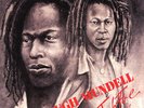 Hugh Mundell Lacksley Castell ‎- Jah Fire LP Roots Reggae Vinyl Album NEW Record