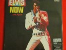 Elvis 