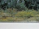 Sealed Columbia House Record Club vinyl LP LED ZEPPELIN IV with hype sticker