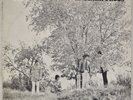 SMALL FACES: There Are But Four US Immediate Psych Rock LP NM- Vinyl