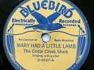PRE WAR BLUES 78 - THE CEDAR CREEK SHEIK Mary Had A Little Lamb BLUEBIRD RARE