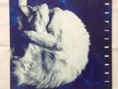 CHAPTERHOUSE - Whirlpool  - 1991 UK DEDICATED LP - With Inner