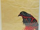 Death Cab for Cutie - Transatlanticism (2003 Vinyl LP Record Album) NEW