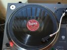 HOW COME/TARZAN&DIGNIFIED MONKEY/78 WILLIE MAE THORNTON/ELROY PLACE E+/A+++PLAY