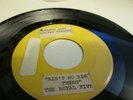 Royal Five Arctic Ain`t no big thing