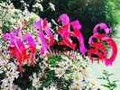 The HIRS Collective - Friends. Lovers. Favorites.