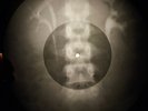 Doors - Summer's Almost Gone X-RAY OF THE USSR X-RAY BONE RECORD