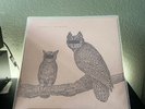 Neil Halstead - Palindrome Hunches VINYL LP