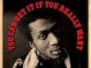 Jimmy Cliff - You Can Get It If You Really Want (2LP 180g Vinyl) NEW/SEALED