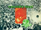 VINYL LP RECORD David Cassidy ?– Cassidy Live