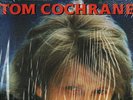CANADA CLUB EDITION NM SHRINK POP ROCK 19891 LP TOM COCHRANE : MAD MAD WORLD