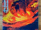 Iggy Pop and the Stooges – Fun House – Punk Rock-Garage Rock Vinyl LP - Original