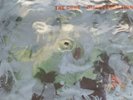the cure disintegration vinyl