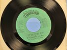 Lost Weekend LW101 General Lee We Did It Baby Rare R&B 45rpm Mint