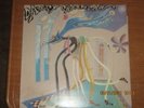 DAISY CHAINSAW Eleventeen RARE 1992 ONE LITTLE INDIAN UK VINYL LP EX TPLP 100