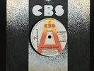 BLUE OYSTER CULT (Don’t Fear) The Reaper CBS DEMO SCBS6333 UK 1st 7” 45 VINYL EX