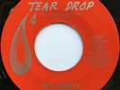 GLENN WELLS Nite People/For the Lonely NORTHERN SOUL POPCORN 45 hear