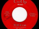 SPOOKY NEW ENGLAND FUZZ PSYCH 45 - THE BRIDGE - THE LIFE OF A DAY - HEAR