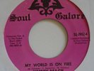 jimmy Mack,My World Is On Fire.7