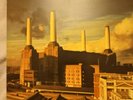 Pink Floyd - Animals - 12